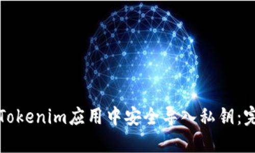 如何在Tokenim应用中安全导入私钥：完全指南