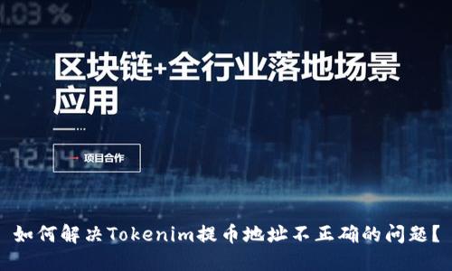 如何解决Tokenim提币地址不正确的问题？