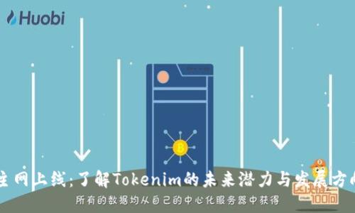 主网上线：了解Tokenim的未来潜力与发展方向