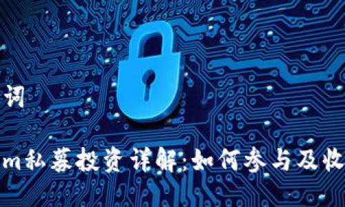 及关键词

Tokenim私募投资详解：如何参与及收益分析