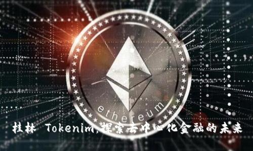桂林 Tokenim：探索去中心化金融的未来