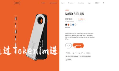 如何通过Tokenim进行成功的众筹自定义