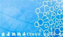   如何在Tokenim上查看狗狗币(YOUR DOGE COIN)的详细操