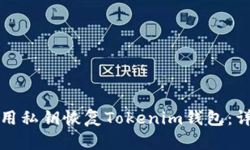如何使用私钥恢复Tokenim钱包：详细指南