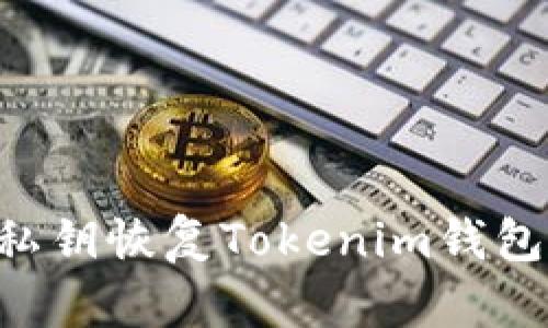 如何使用私钥恢复Tokenim钱包：详细指南