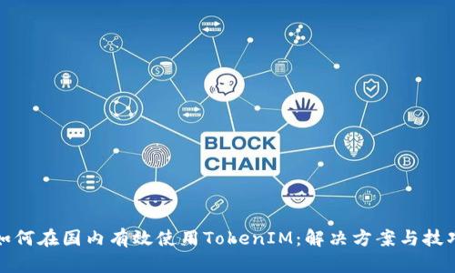 如何在国内有效使用TokenIM：解决方案与技巧
