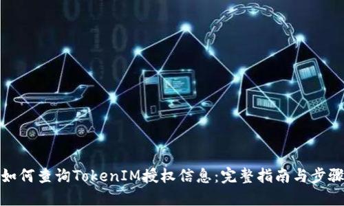 如何查询TokenIM授权信息：完整指南与步骤