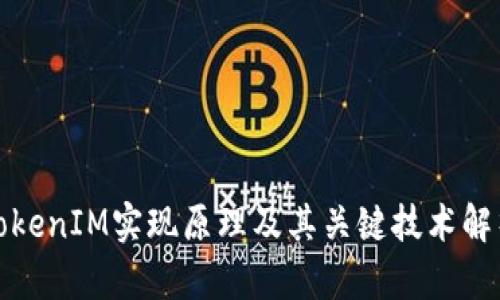 TokenIM实现原理及其关键技术解析