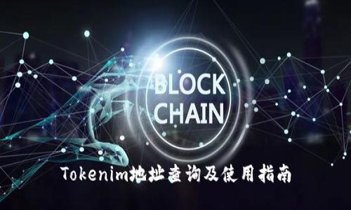 Tokenim地址查询及使用指南