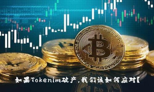 如果Tokenim破产，我们该如何应对？