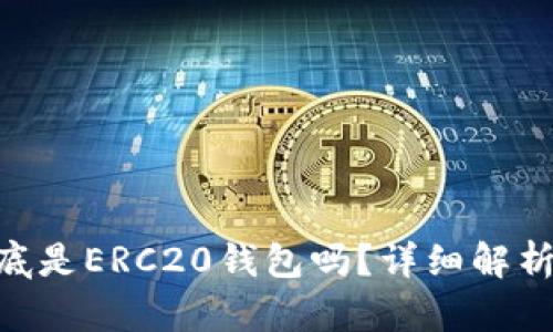Tokenim到底是ERC20钱包吗？详细解析与使用指南