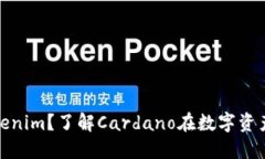 什么是ADA进Tokenim？了解Cardano在数字资产中的变革