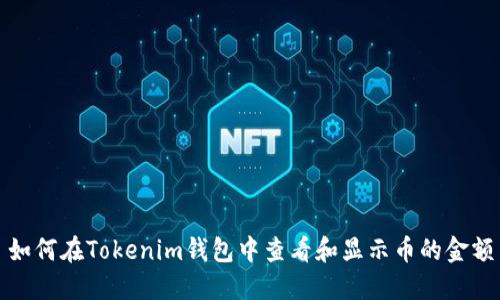 如何在Tokenim钱包中查看和显示币的金额