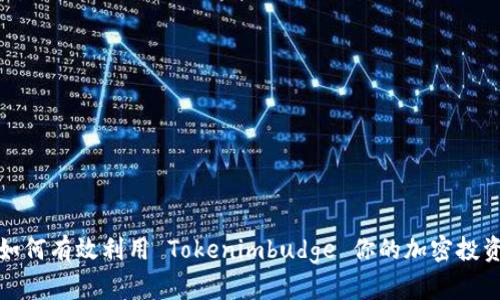 如何有效利用 Tokenimbudge 你的加密投资
