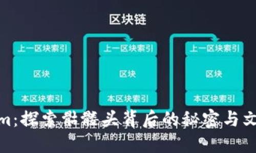 Tokenim：探索骷髅头背后的秘密与文化意义