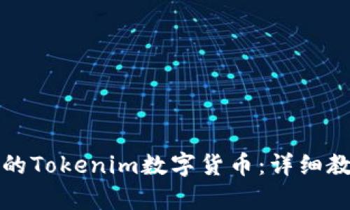 如何创建自己的Tokenim数字货币：详细教程与步骤解析