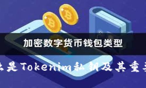 什么是Tokenim私钥及其重要性