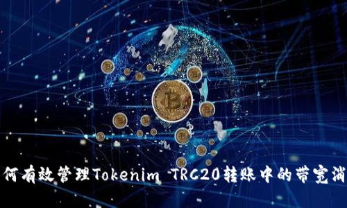 如何有效管理Tokenim TRC20转账中的带宽消耗