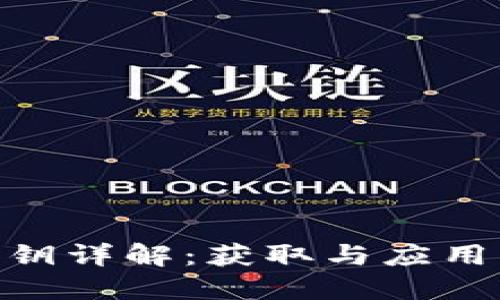 Tokenim密钥详解：获取与应用的全面指南
