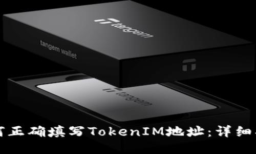 如何正确填写TokenIM地址：详细指南