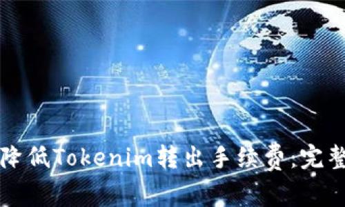 如何降低Tokenim转出手续费：完整指南