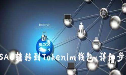 如何将CSAC转移到Tokenim钱包：详细步骤与指导