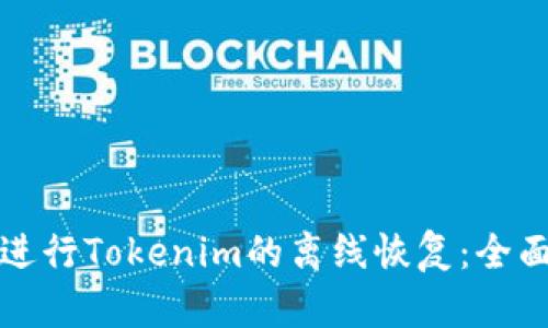 如何进行Tokenim的离线恢复：全面指南