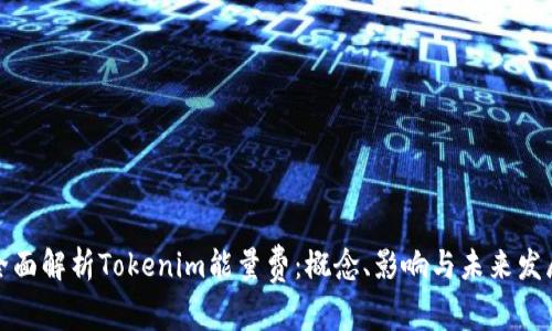 全面解析Tokenim能量费：概念、影响与未来发展