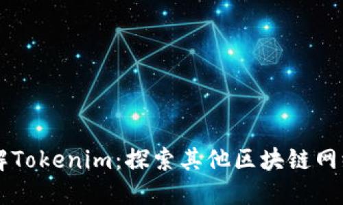 深入了解Tokenim：探索其他区块链网络的潜力