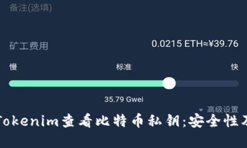 如何使用Tokenim查看比特币私钥：安全性及最佳实践
