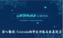 深入解析：Tokenim的平台待遇及发展潜力