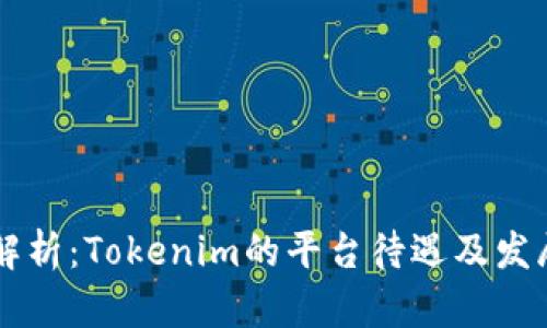 深入解析：Tokenim的平台待遇及发展潜力