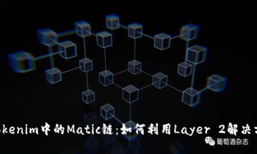 ziaoti深入探讨Tokenim中的Matic链：如何利用Layer 2解决方案提升交易效率