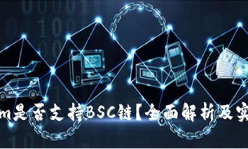 Tokenim是否支持BSC链？全面解析及实用指南
