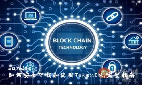 bandoc
如何安全下载和使用TokenIM：完整指南