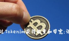 如何通过Tokenim获得能量和带宽：详细指南