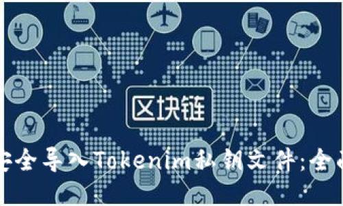 如何安全导入Tokenim私钥文件：全面指南