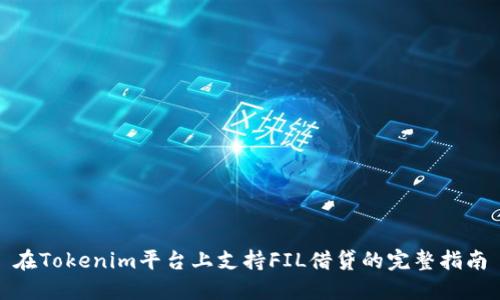 在Tokenim平台上支持FIL借贷的完整指南