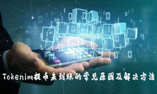 Tokenim提币未到账的常见原因及解决方法