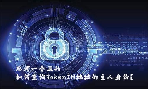 思考一个且的  
如何查询TokenIM地址的主人身份？
