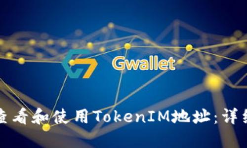 如何查看和使用TokenIM地址：详细指南