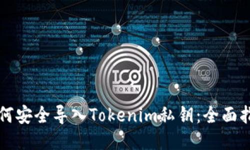 如何安全导入Tokenim私钥：全面指南