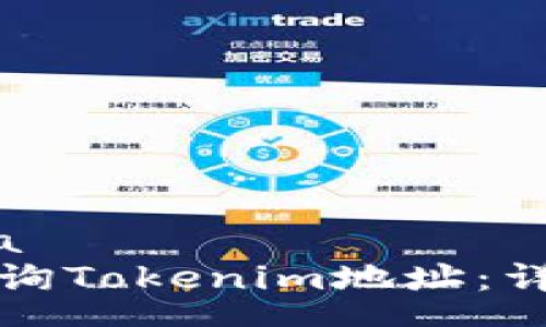 schema
如何查询Tokenim地址：详细指南