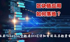 什么是Tokenim空投币SCC？详细分析及其投资前景