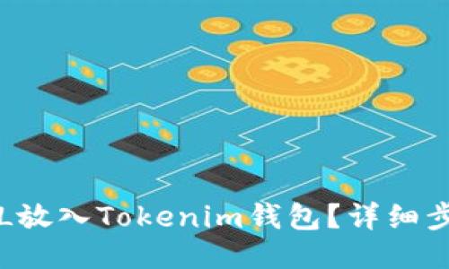 如何将FIL放入Tokenim钱包？详细步骤与指南
