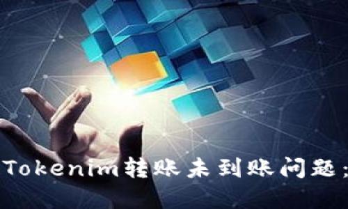 如何解决Tokenim转账未到账问题：详尽指南