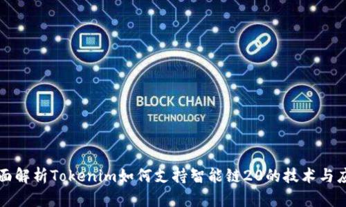 全面解析Tokenim如何支持智能链20的技术与应用