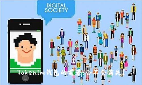 Tokenim钱包的前景：会不会消失？