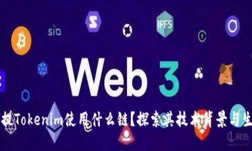 比特币提Tokenim使用什么链？探索其技术背景与生态体系
