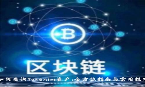 如何查询Tokenim资产：全方位指南与实用技巧